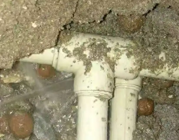 木兰测漏水多少钱