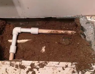 木兰测漏水哪家好