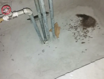 木兰卫生间测漏水价格明细