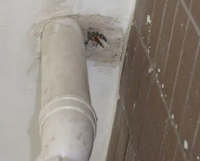 木兰漏水检测哪家好